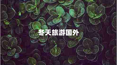 冬天旅游國外