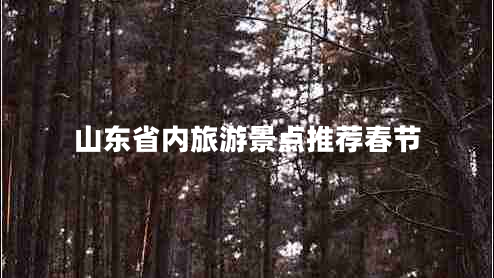 山東省內(nèi)旅游景點(diǎn)推薦春節(jié)