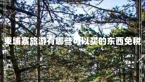 柬埔寨旅游有哪些可以買的東西免稅