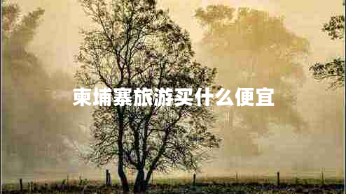 柬埔寨旅游買(mǎi)什么便宜 柬埔寨旅游買(mǎi)什么便宜