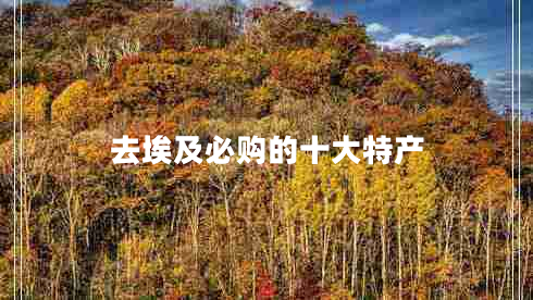 去埃及必購(gòu)的十大特產(chǎn)