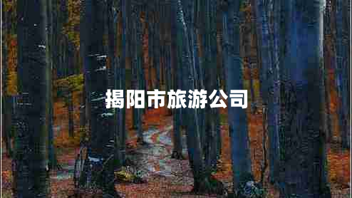 揭陽市旅游公司