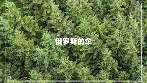 俄羅斯的傘 俄羅斯的傘