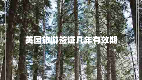 英國旅游簽證幾年有效期 英國旅游簽證幾年有效期