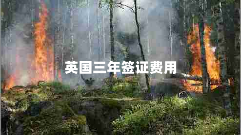 英國三年簽證費用