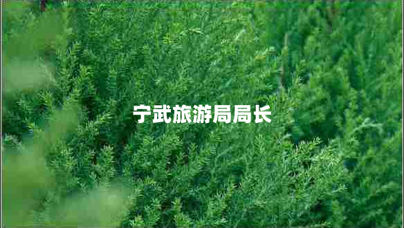 寧武旅游局局長 寧武旅游局局長