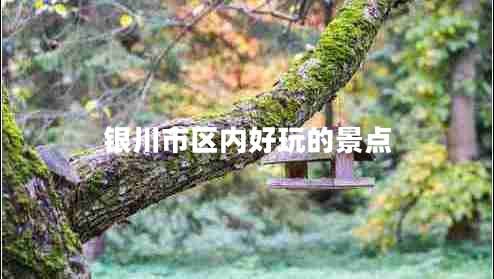 銀川市區(qū)內(nèi)好玩的景點(diǎn)