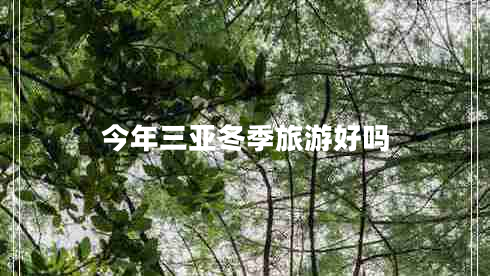 今年三亞冬季旅游好嗎