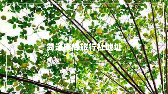 菏澤康輝旅行社地址