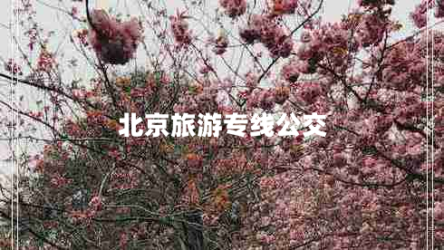 北京旅游專(zhuān)線公交