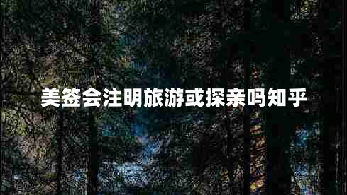 美簽會注明旅游或探親嗎知乎