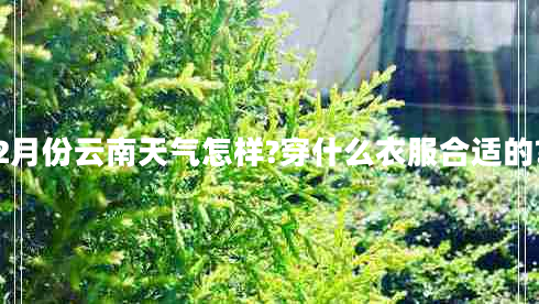 2月份云南天氣怎樣?穿什么衣服合適的? 2月份云南天氣怎樣?穿什么衣服合適的?