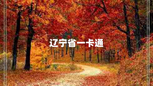 遼寧省一卡通 遼寧省一卡通