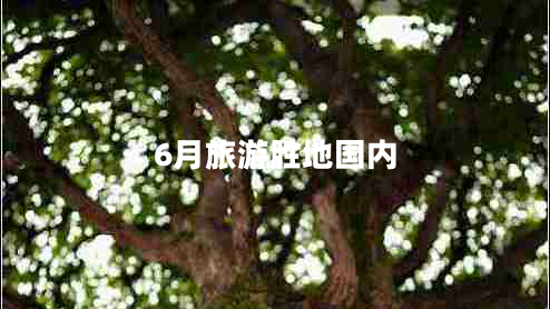 6月旅游勝地國(guó)內(nèi)