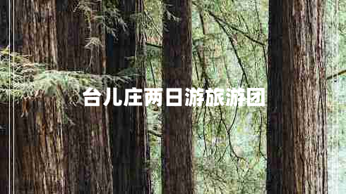 臺(tái)兒莊兩日游旅游團(tuán)