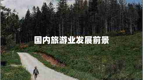 國內(nèi)旅游業(yè)發(fā)展前景