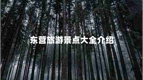 東營旅游景點大全介紹