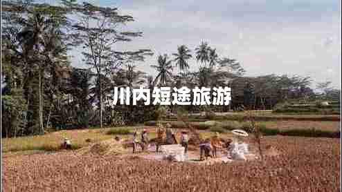 川內(nèi)短途旅游