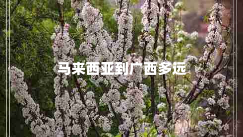 馬來西亞到廣西多遠(yuǎn) 馬來西亞到廣西多遠(yuǎn)