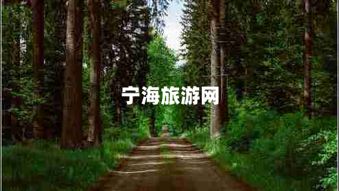 寧海旅游網(wǎng)