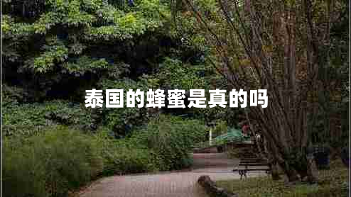 泰國(guó)的蜂蜜是真的嗎