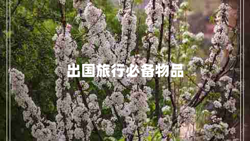出國(guó)旅行必備物品