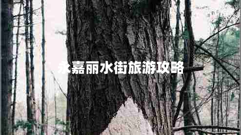 永嘉麗水街旅游攻略