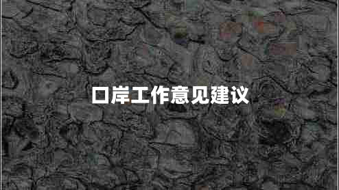 口岸工作意見建議