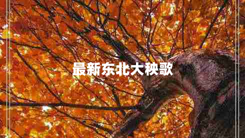 最新東北大秧歌 最新東北大秧歌