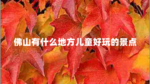 佛山有什么地方兒童好玩的景點(diǎn)