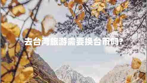 去臺灣旅游需要換臺幣嗎?
