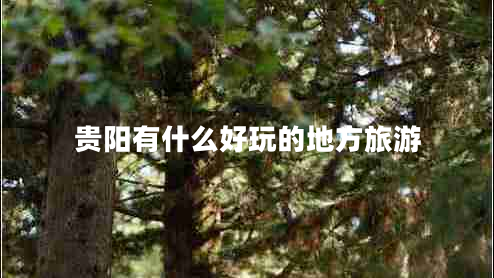 貴陽(yáng)有什么好玩的地方旅游