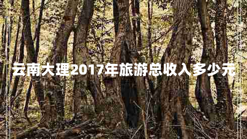 云南大理2017年旅游總收入多少元