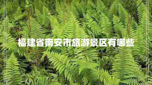 福建省南安市旅游景區(qū)有哪些