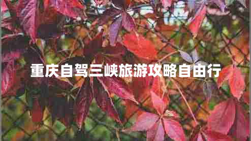 重慶自駕三峽旅游攻略自由行 重慶自駕三峽旅游攻略自由行