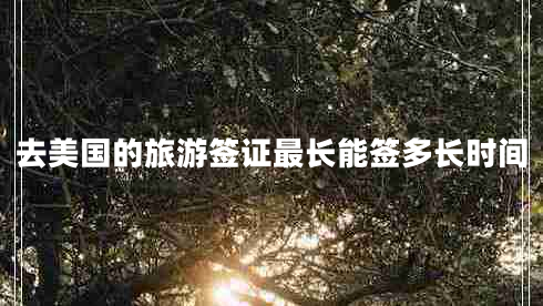 去美國的旅游簽證最長能簽多長時間