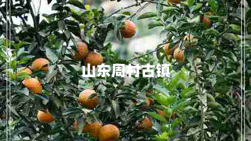 山東周村古鎮(zhèn)