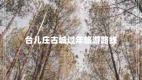 臺兒莊古城過年旅游路線