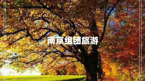 南京組團(tuán)旅游 南京組團(tuán)旅游
