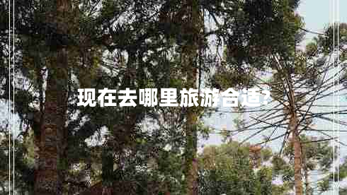 現(xiàn)在去哪里旅游合適?