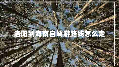 洛陽到海南自駕游路線怎么走