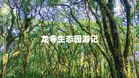 龍寺生態(tài)園游記 龍寺生態(tài)園游記