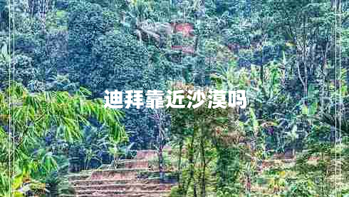 迪拜靠近沙漠嗎