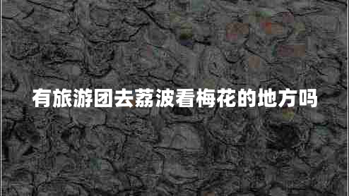 有旅游團(tuán)去荔波看梅花的地方嗎 有旅游團(tuán)去荔波看梅花的地方嗎