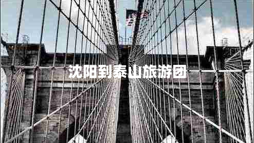 沈陽到泰山旅游團(tuán)