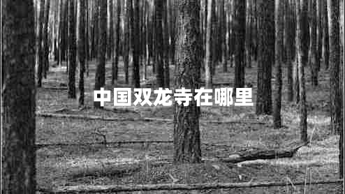 中國雙龍寺在哪里