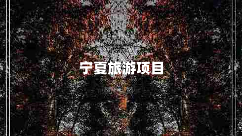 寧夏旅游項(xiàng)目