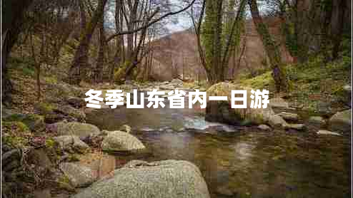 冬季山東省內(nèi)一日游 冬季山東省內(nèi)一日游