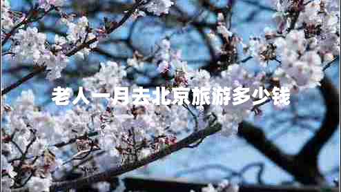 老人一月去北京旅游多少錢