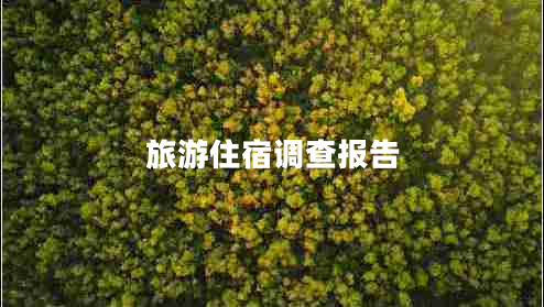 旅游住宿調查報告